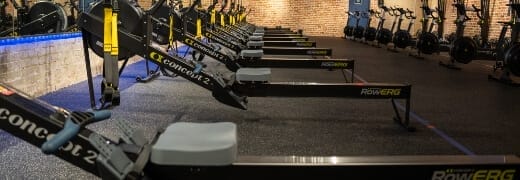 ergofit longevity beginner freindly