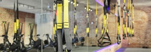 ErgoFit longevity expert coaches